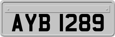 AYB1289
