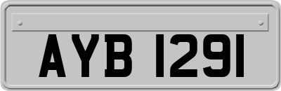 AYB1291