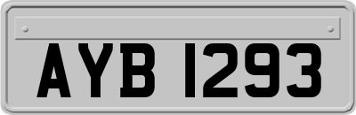 AYB1293