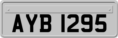 AYB1295