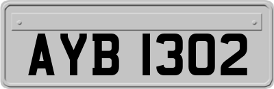AYB1302