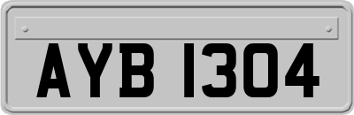 AYB1304
