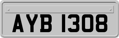 AYB1308