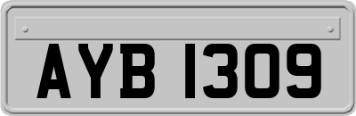 AYB1309