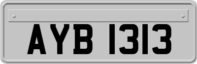 AYB1313