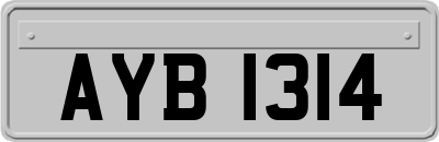AYB1314