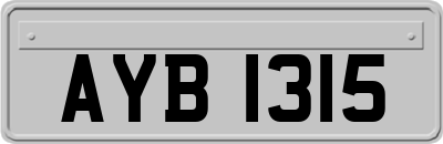 AYB1315