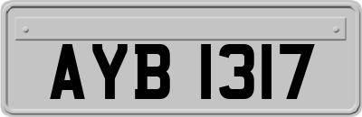 AYB1317