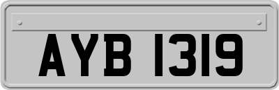 AYB1319