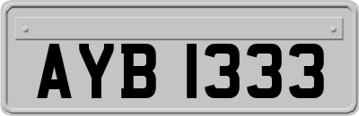 AYB1333