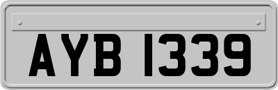 AYB1339