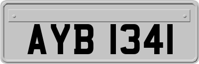 AYB1341