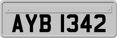 AYB1342