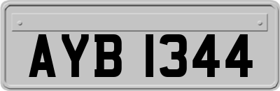 AYB1344