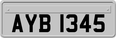 AYB1345