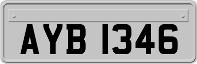 AYB1346
