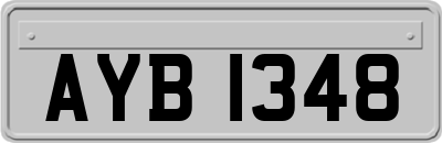 AYB1348