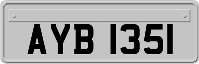 AYB1351