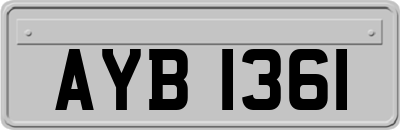 AYB1361