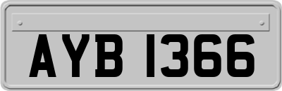 AYB1366