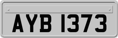 AYB1373