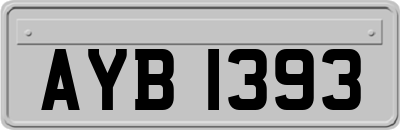 AYB1393