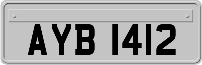 AYB1412