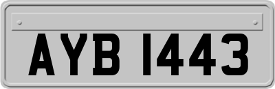 AYB1443