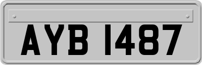 AYB1487