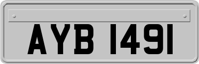 AYB1491