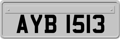 AYB1513