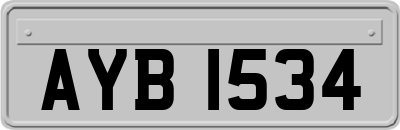 AYB1534