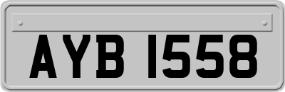 AYB1558