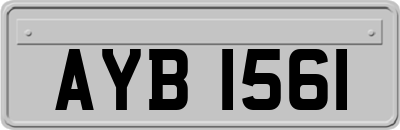 AYB1561