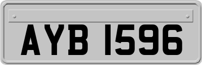 AYB1596