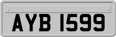 AYB1599