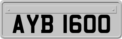 AYB1600