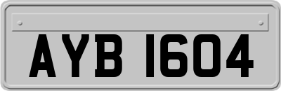 AYB1604