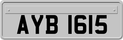 AYB1615