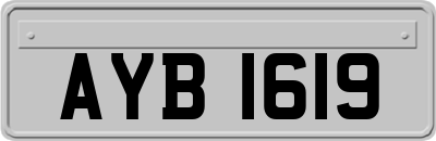 AYB1619