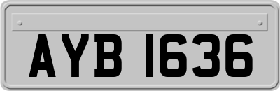 AYB1636