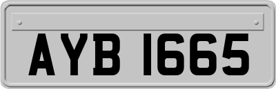 AYB1665
