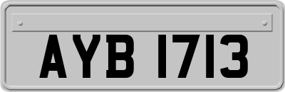 AYB1713