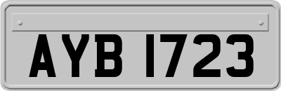 AYB1723