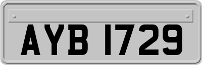 AYB1729