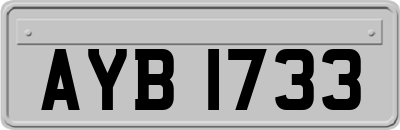 AYB1733
