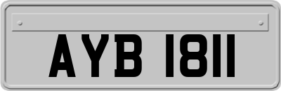 AYB1811