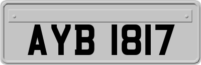AYB1817