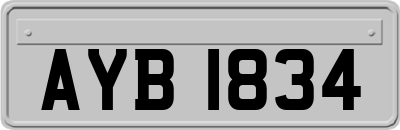 AYB1834