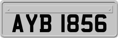AYB1856